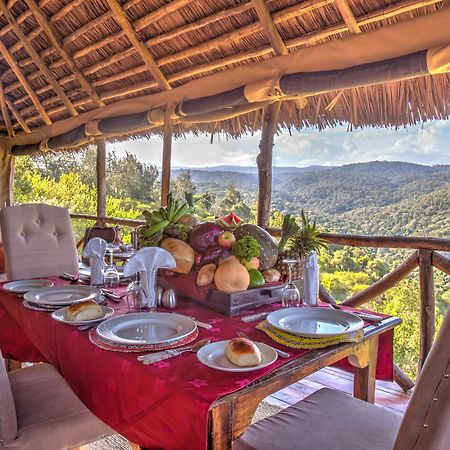 Ngorongoro Forest Tented Lodge Карату Экстерьер фото